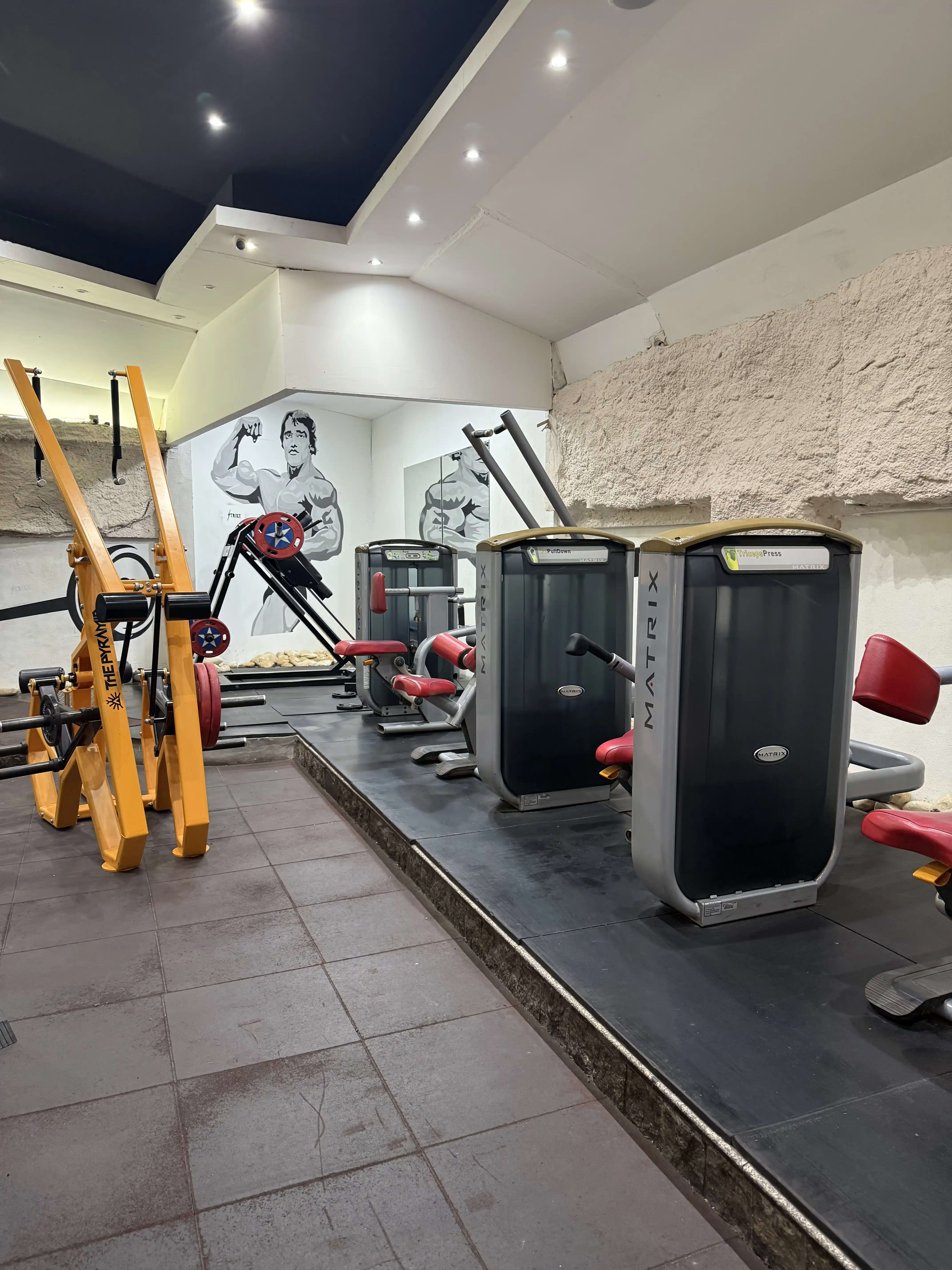 Gym cardio and endurance zone