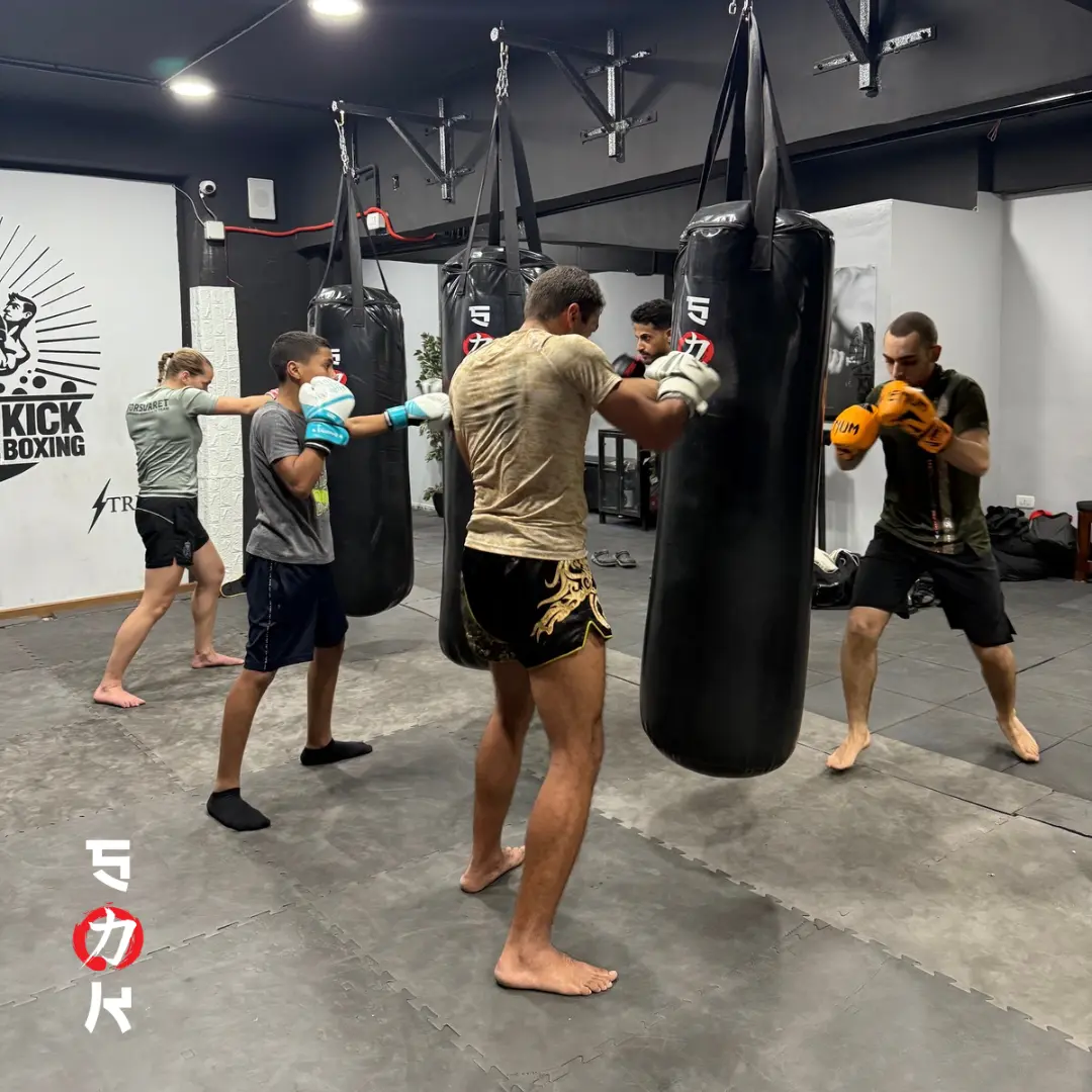 SK Martial Arts Training Sessions