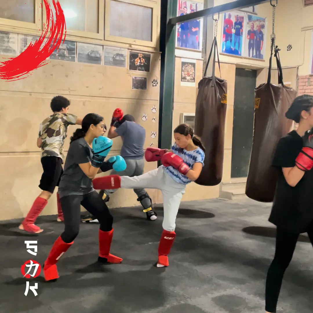 Training Session - Image 2