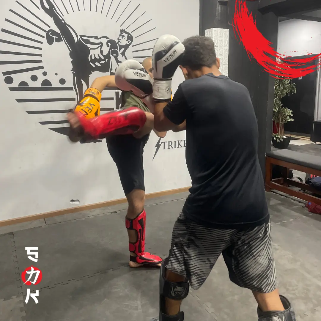 Training Session - Image 6