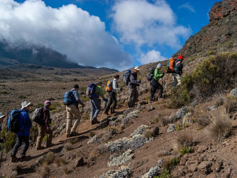 Trekkers on the Kilimanjaro trail