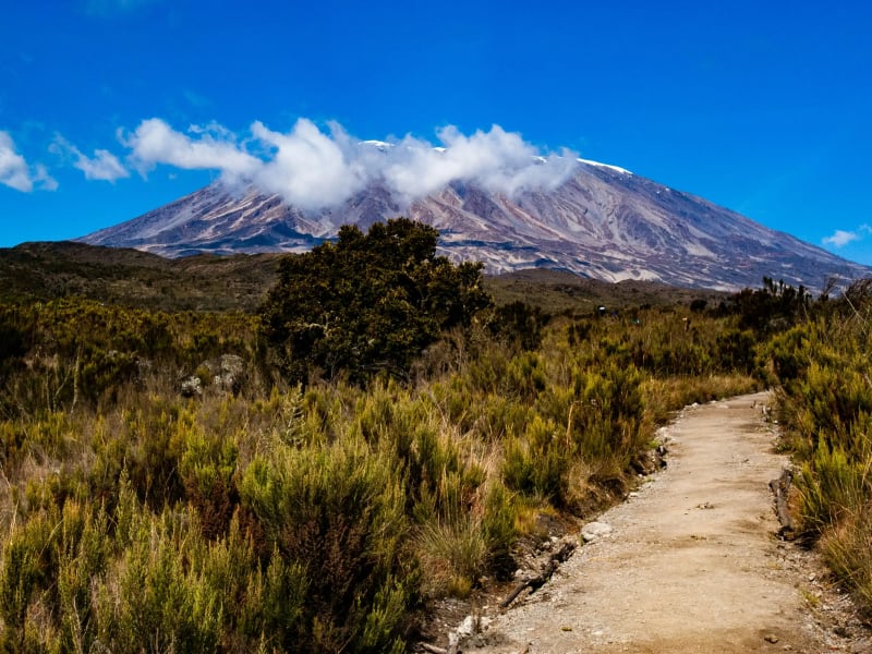 Kilimanjaro crater rim above the clouds