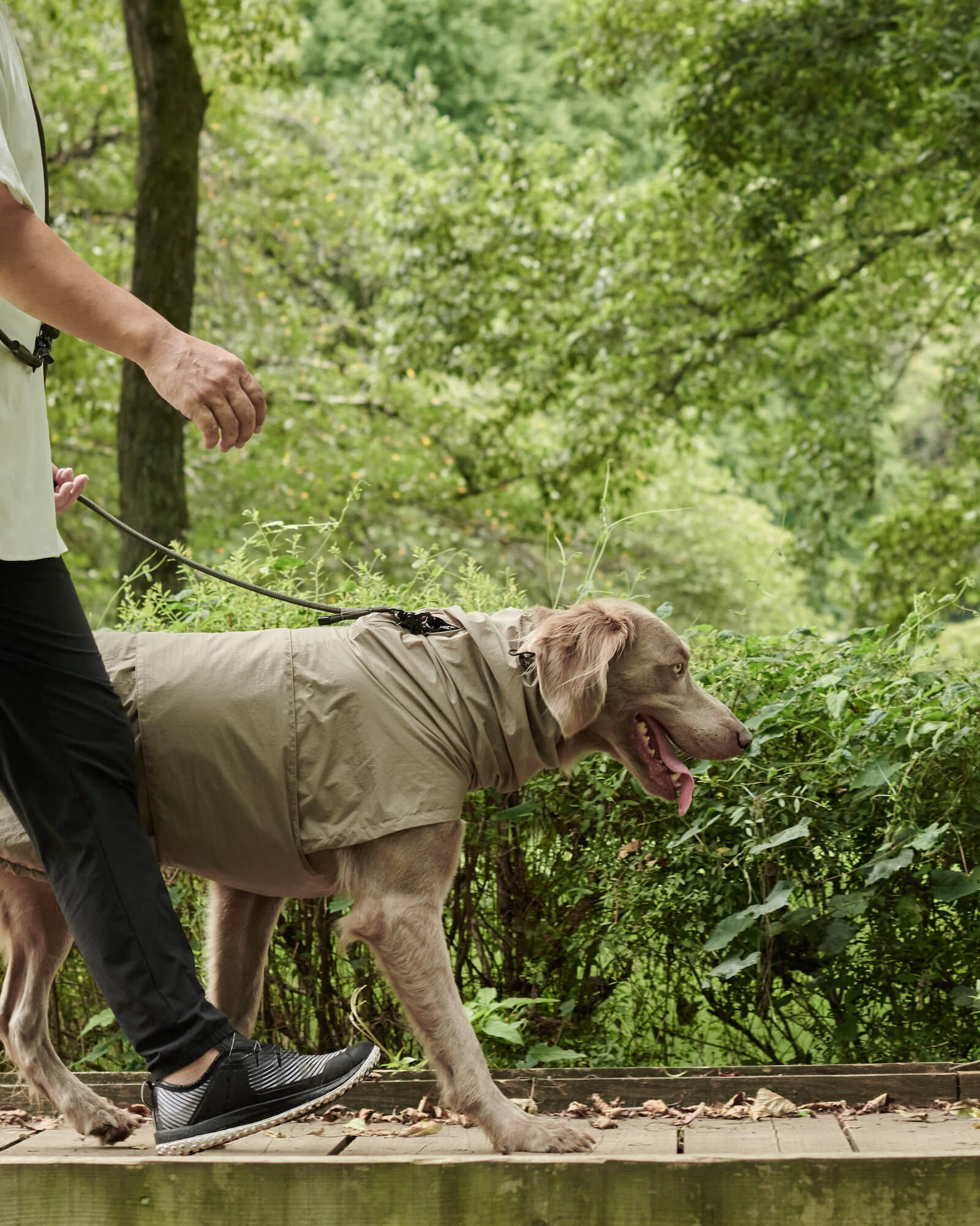 LITE RAIN COAT Ⅱ WEIMARANER GREY | ライトレインコート2ワイマラナーグレー | muraco(ムラコ), ｜  muraco