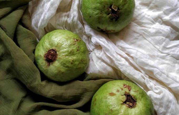Feijoa Accord