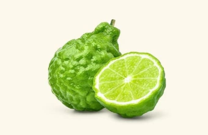 Bergamot :: C77