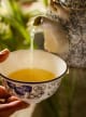Oolong/Jasmine Tea Accord