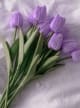 Violet Accord
