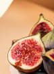 Fig Accord
