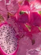 Dragon Fruit Accord 