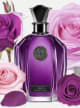 Purple Rose Accord