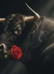 Toro :: 87