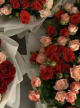 Rose 20