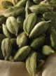 Cardamom Accord