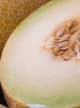 Melon Fragrance
