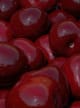 Red Fruit Accord