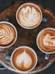 Cappuccino Accord