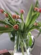 Accord N° 203435 Floral green (Firmenich)