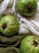 Feijoa Accord