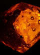 Amber Accord