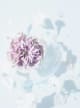 Givaudan Gardenia Base
