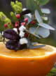Accord N° 207660 Citrus Floral (Firmenich)