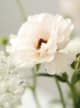 Accord N° 208009 Fruity Floral (Firmenich)