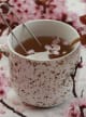 Accord N° 207714 Floral Powdery (Firmenich)