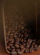 Tonka Bean Accord
