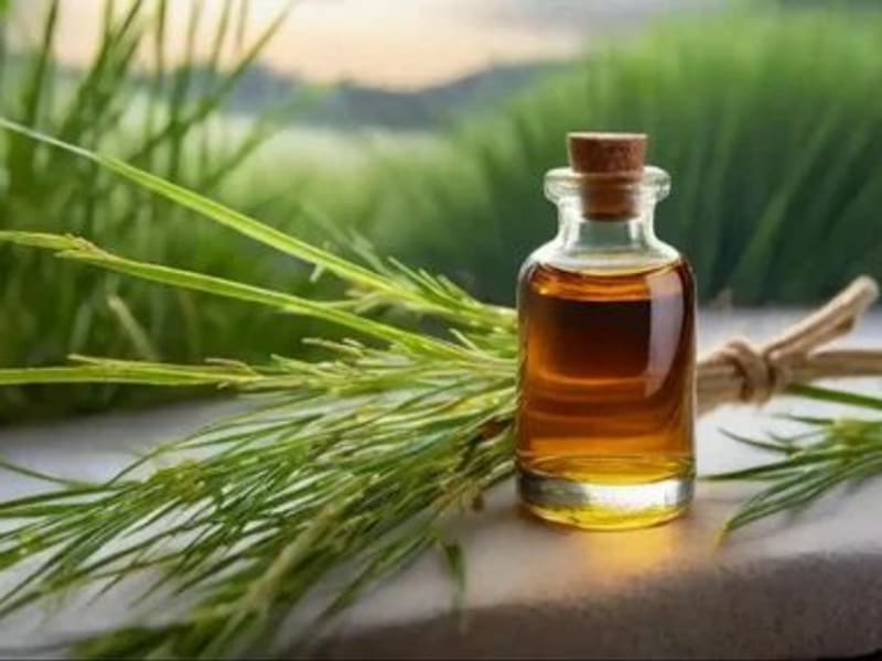 Image for Vetiver Essential Oil