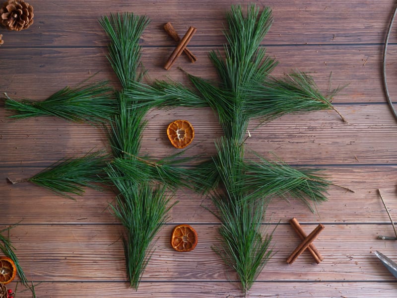 D-(+)-Beta-Pinene molecular structure or representation