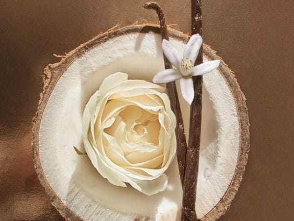 Image for Coconut Lovers
