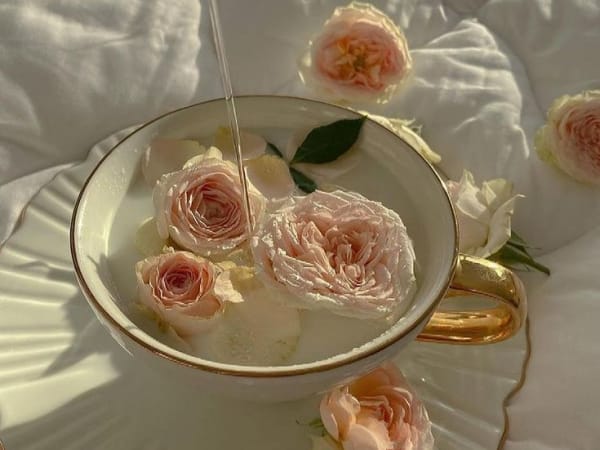 Image for Tea Rose