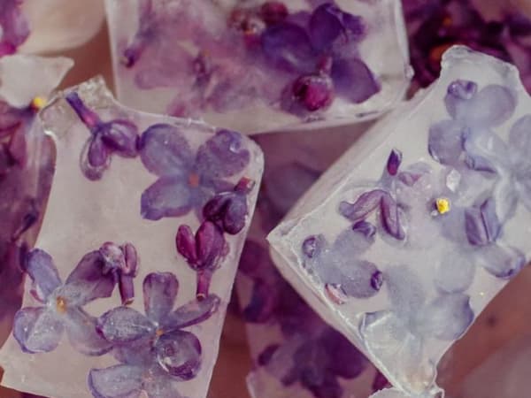 Image for Lilac Accord