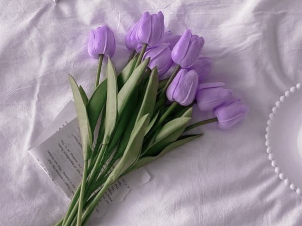 Image for Violet Accord