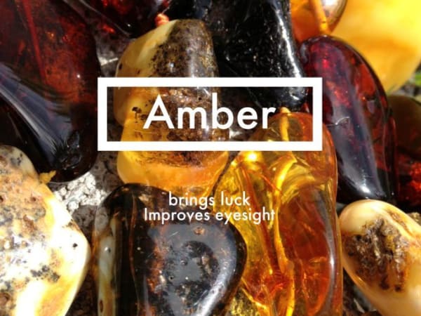 Image for Amber Accord