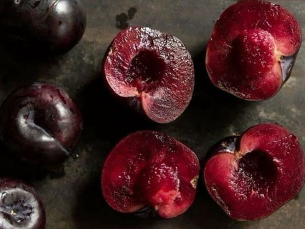 Image for Plum Accord
