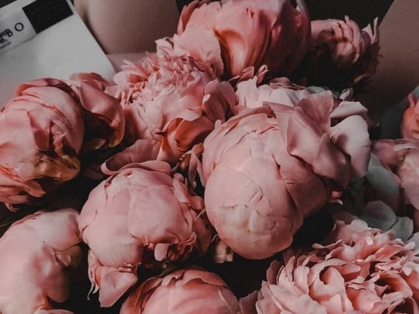 Image for Narcotic Floral Accord