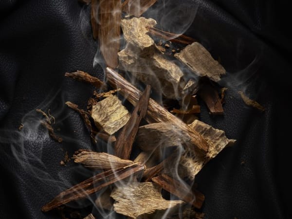 Image for Tobacco Accord