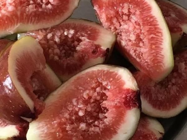 Image for Green Fig