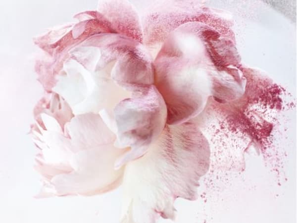 Image for Jersey by Chanel