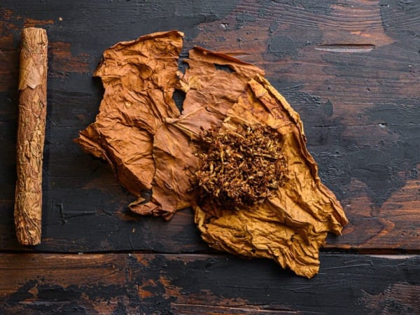 Image for Tobacco Accord 1