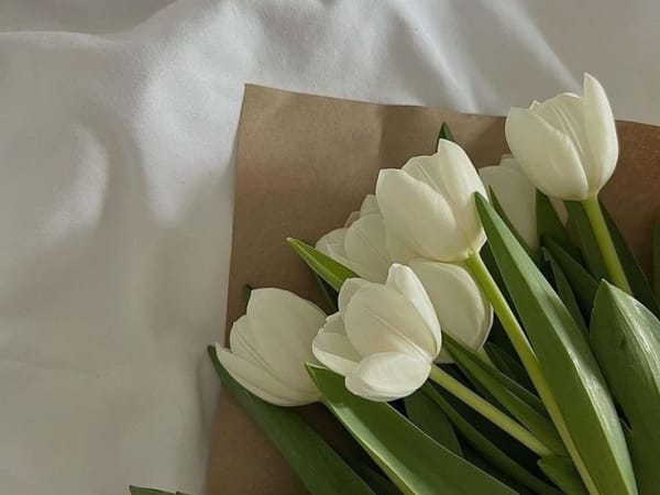 Image for Tulip