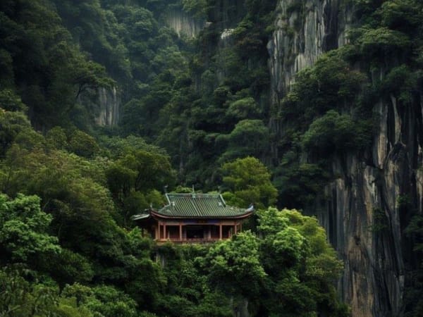 Image for Nuit de Chine