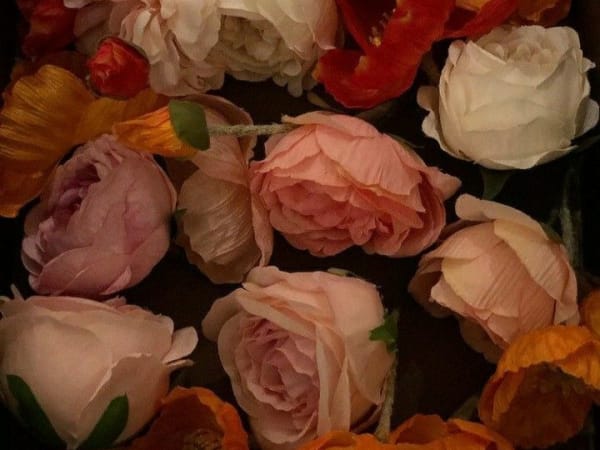 Image for Rose Dorian