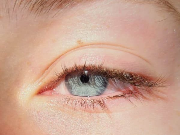 Image for Iris Gris