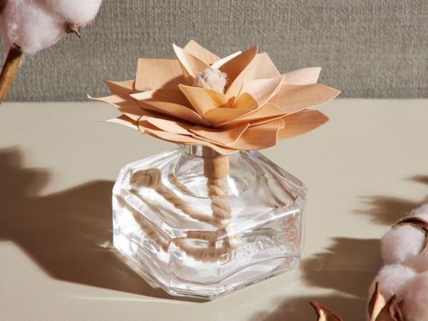 Image for Bois Précieux