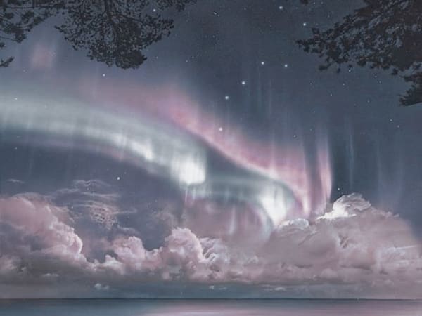 Image for Northern Bliss