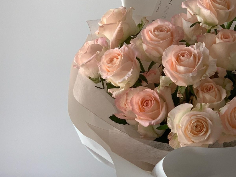 Geraniol molecular structure or representation