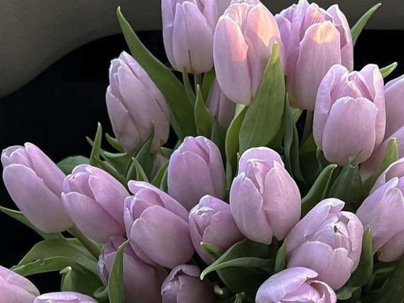 Methyl Ionone Gamma molecular structure or representation