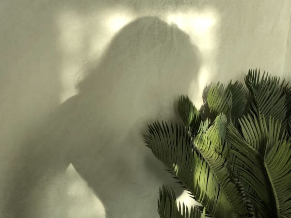 Image for Green Leaf Key Accord